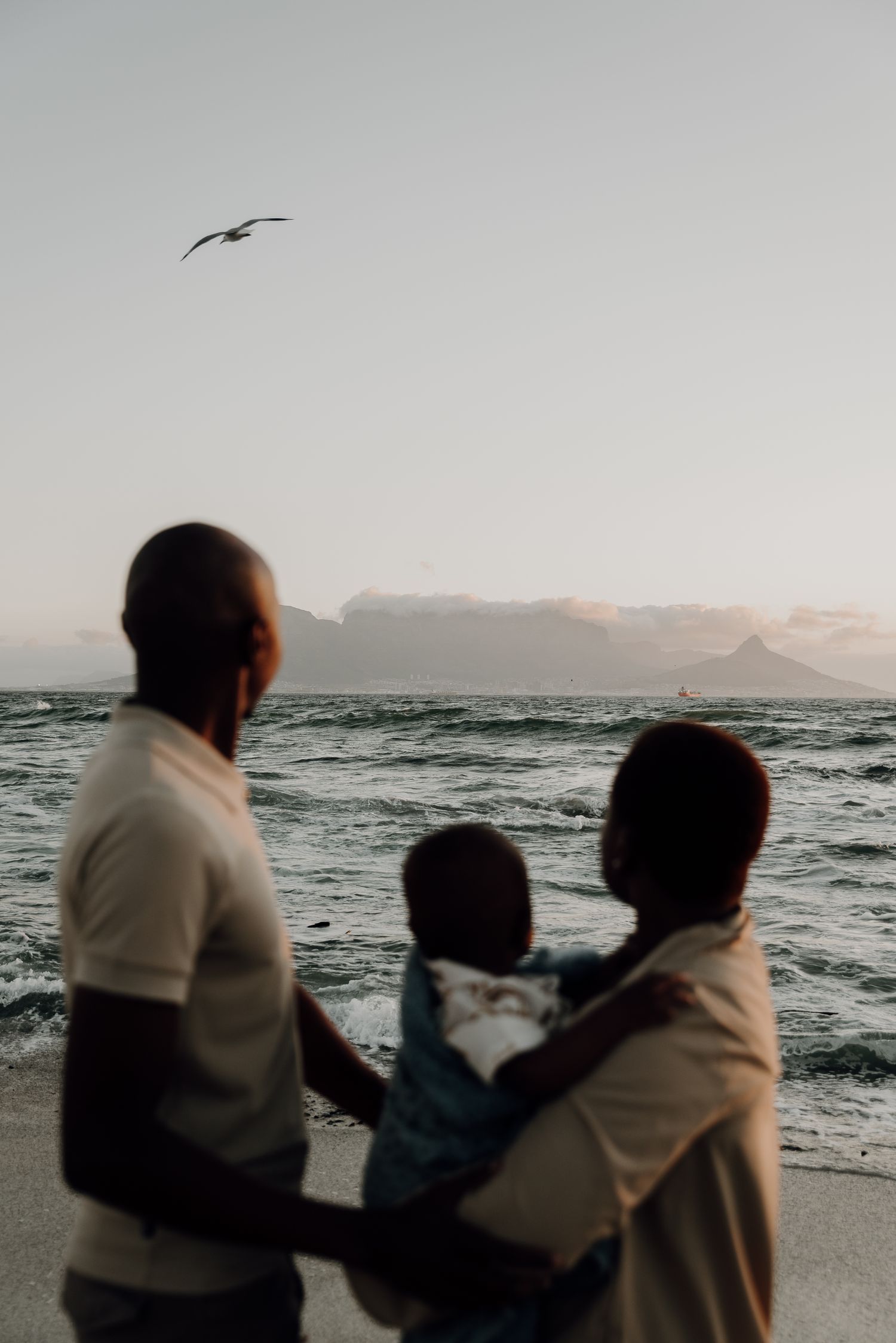 family africa cape town table mountain beach photographer international baby