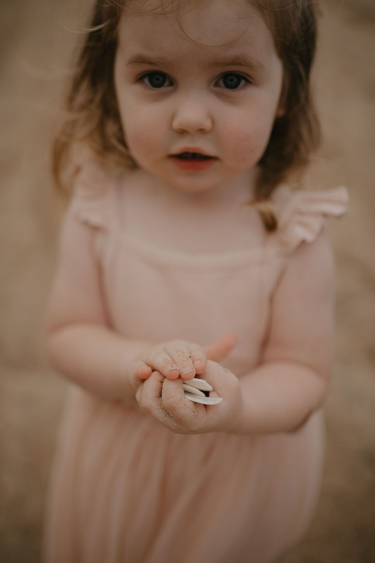 Hawkes Bay family photographer