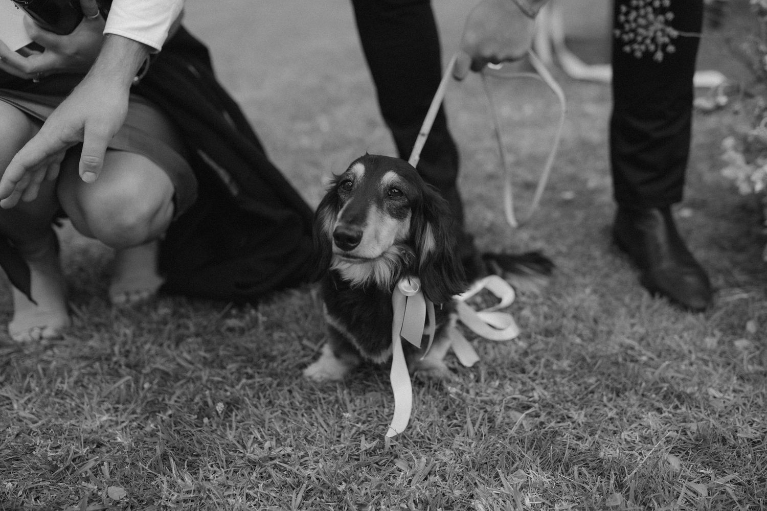 Hawkes Bay photographer