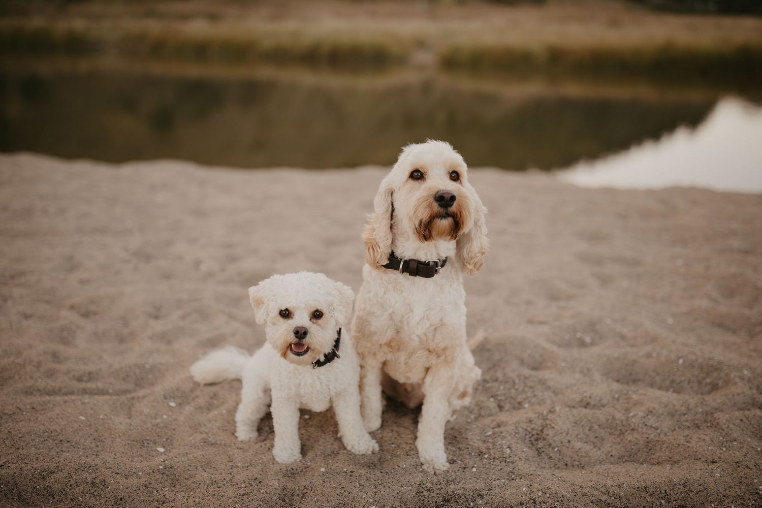 Hawkes Bay photographer