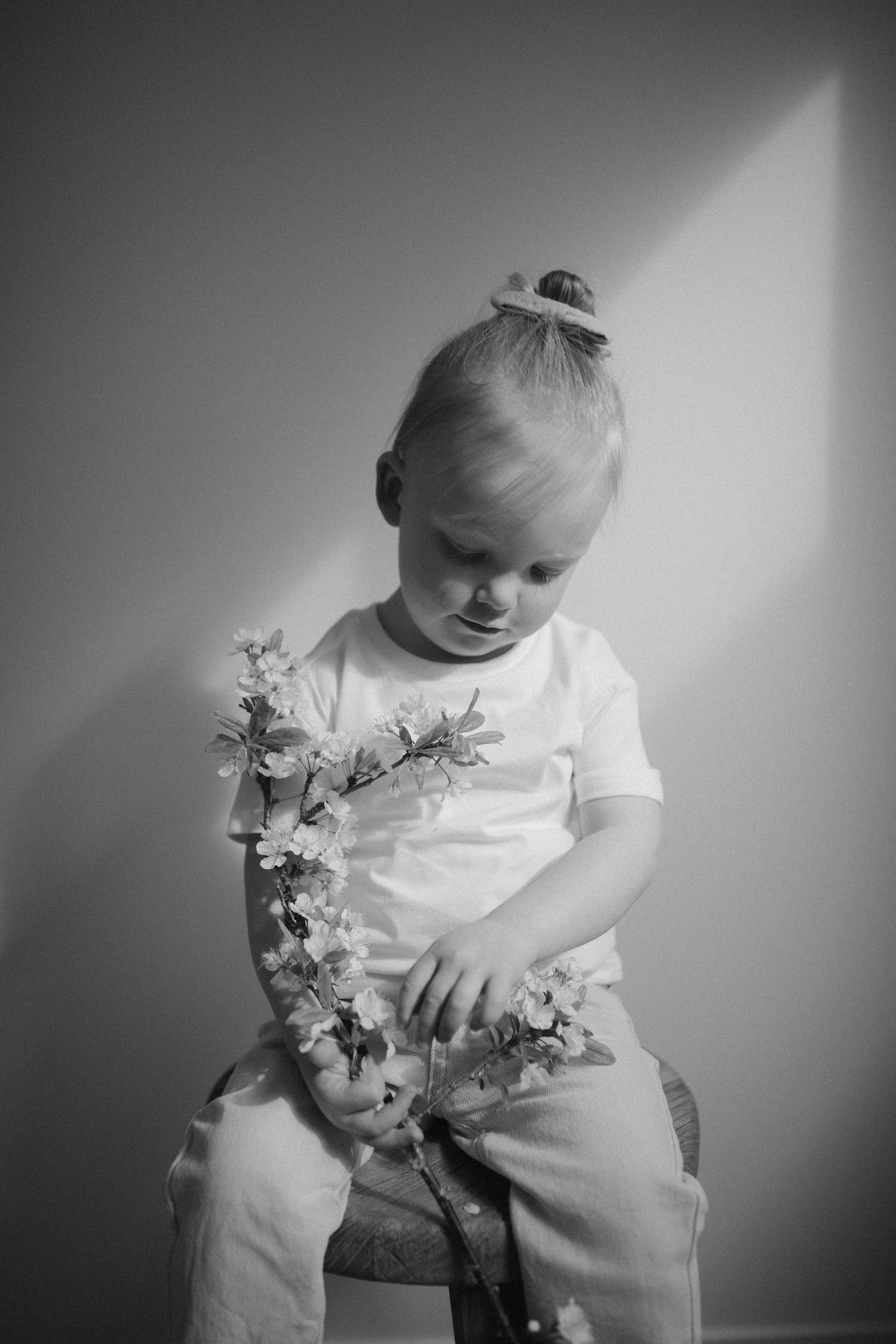 Hawkes Bay photographer