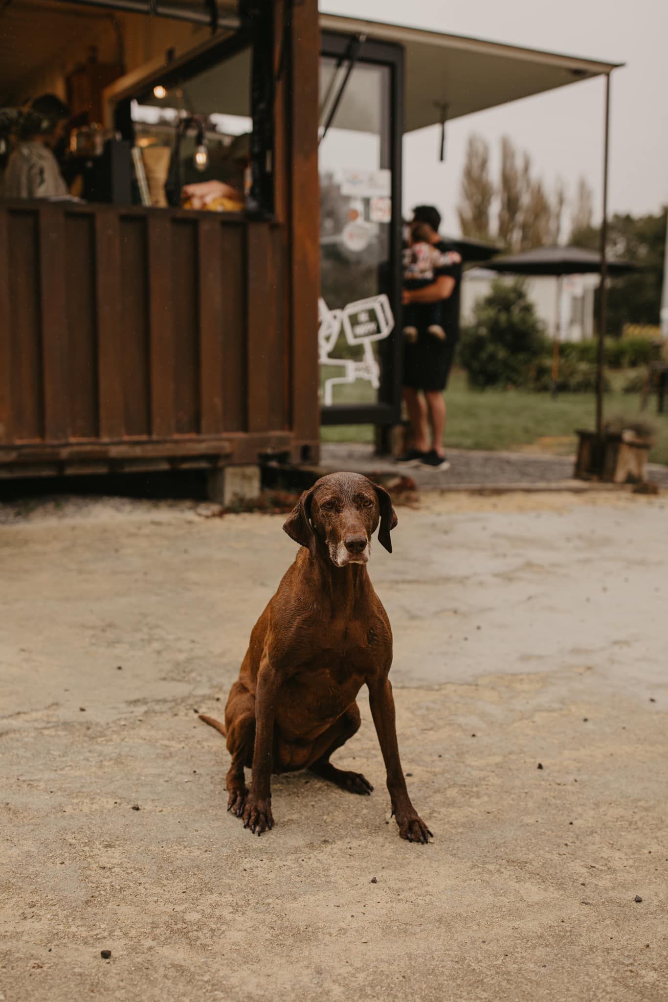 Hawkes Bay photographer