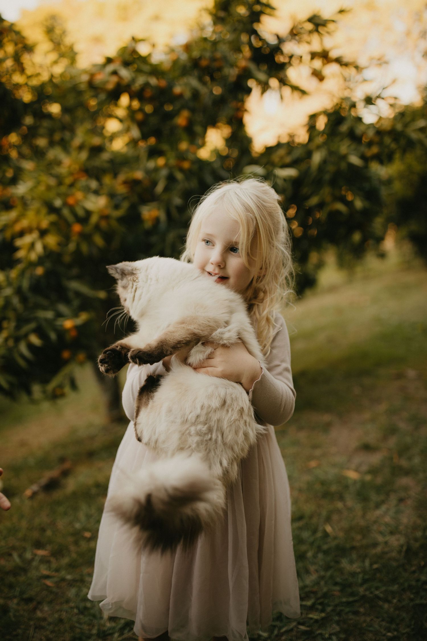 Hawkes Bay photographer