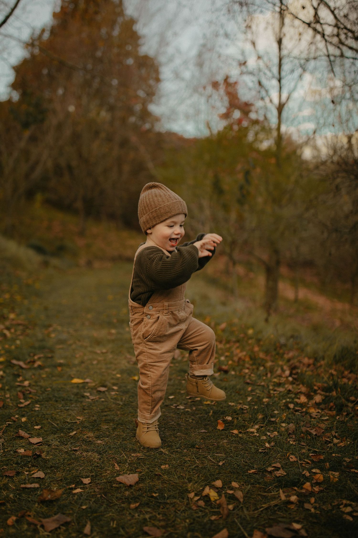 Hawkes Bay photographer