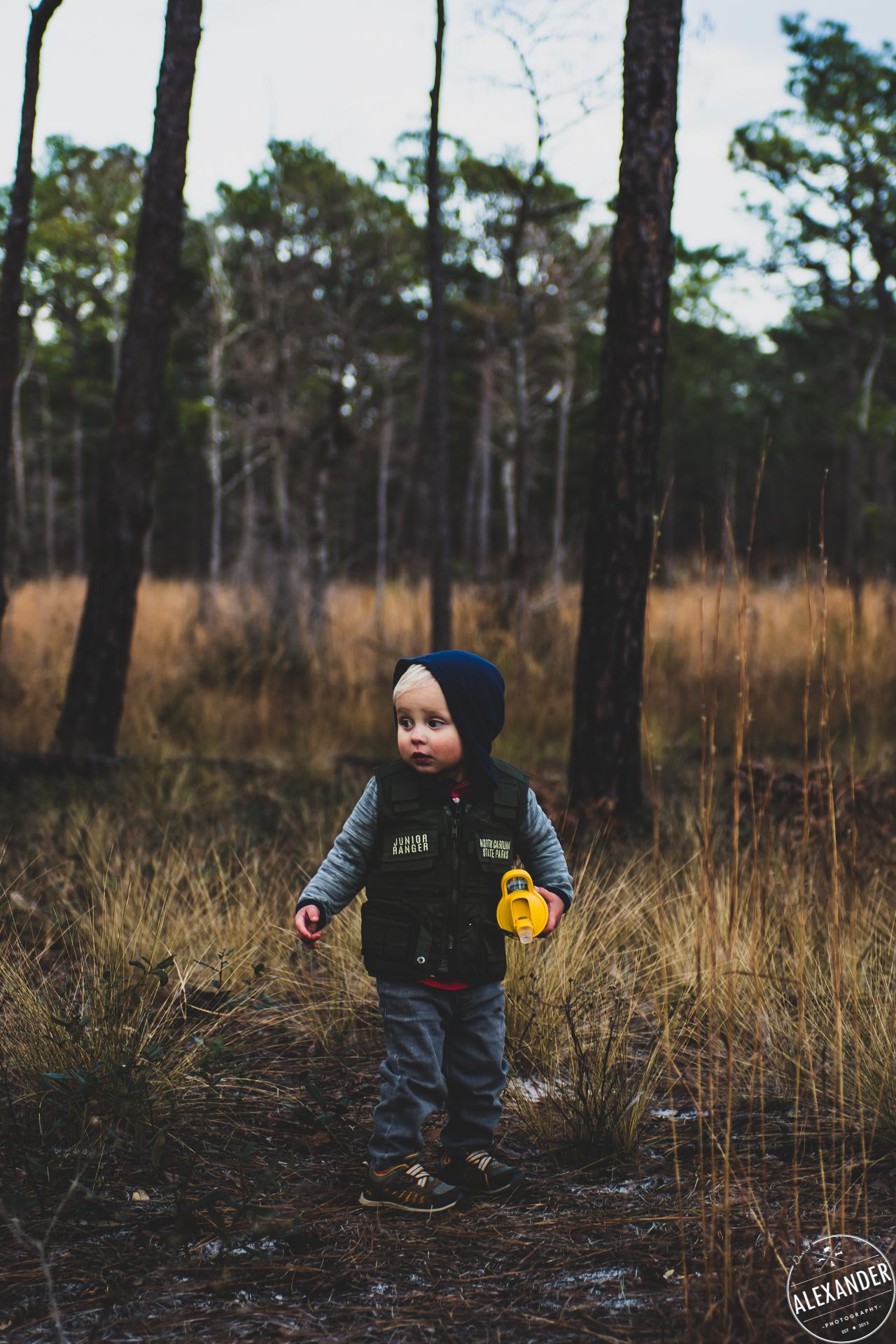 Forest exploration video for Greensboro Landscaping pros - 4Adventure Media.