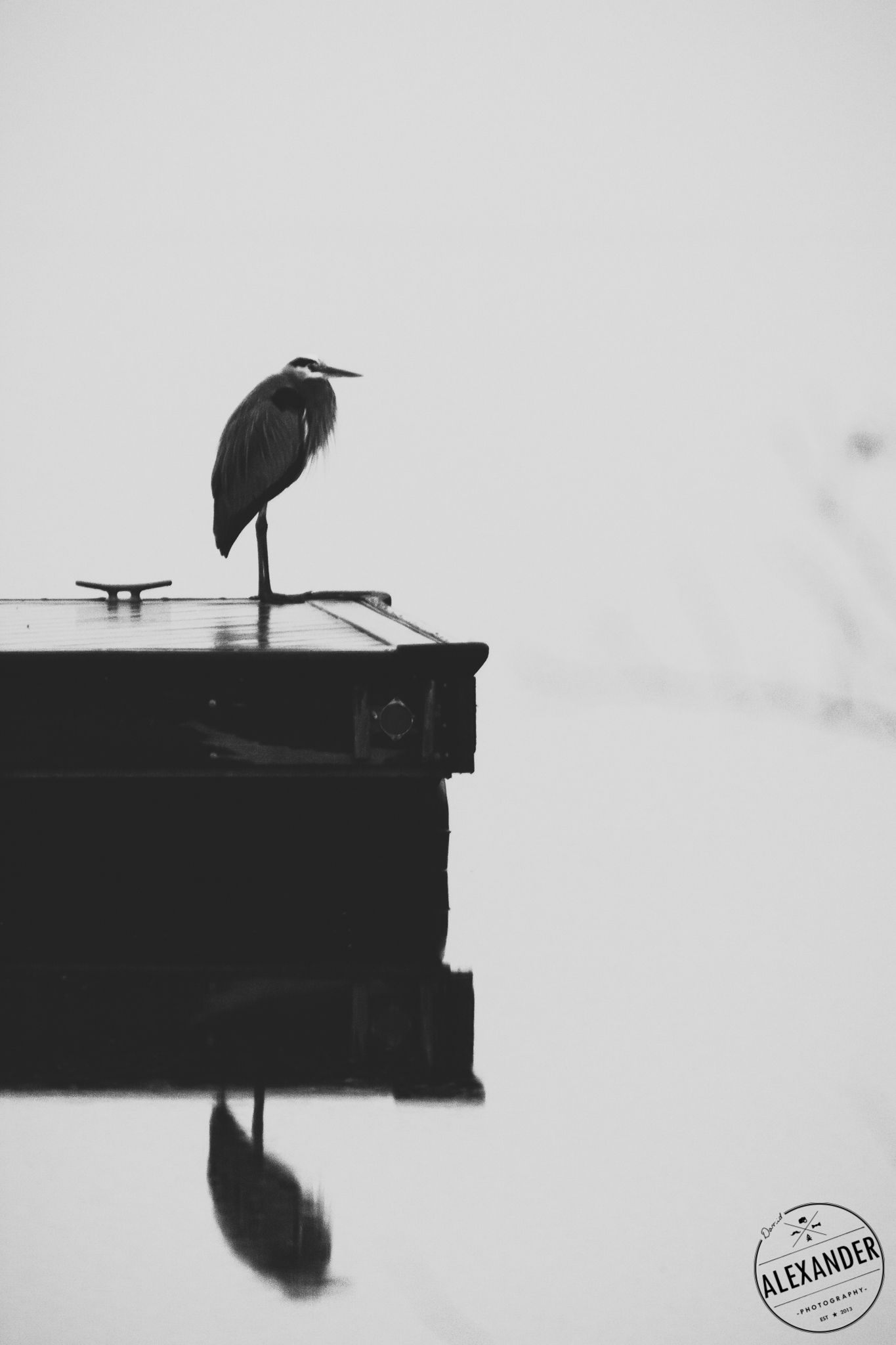 Heron silhouette for Winston-Salem Landscaping - 4Adventure Media.