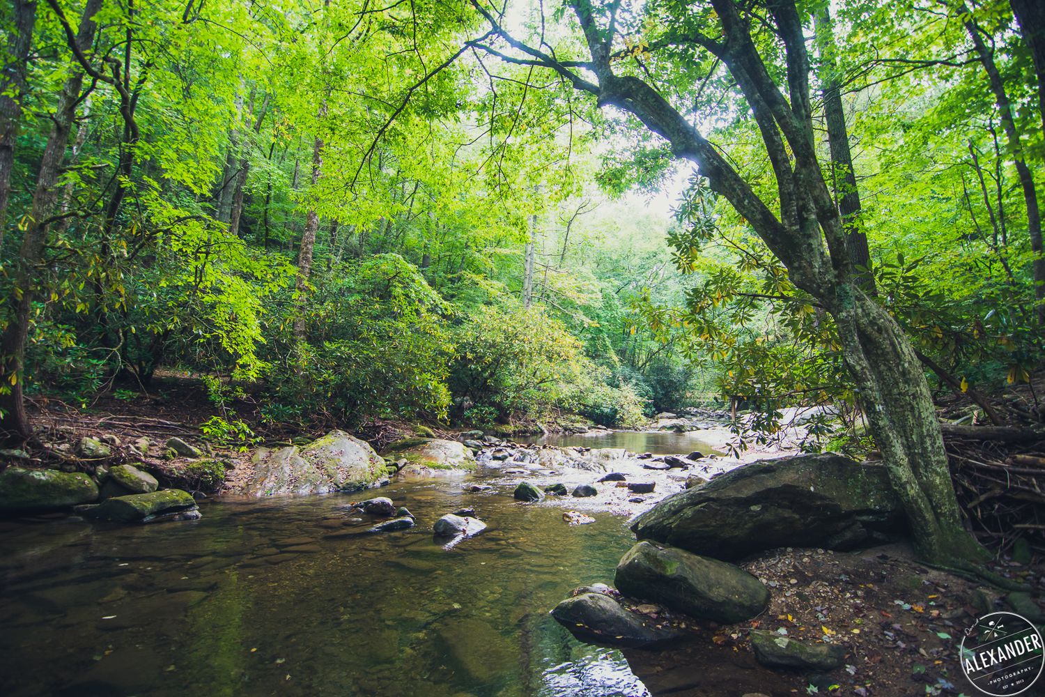 Forest stream Greensboro Electrical - 4Adventure Media.
