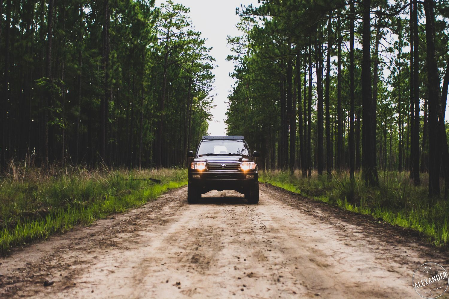 Dirt road through pines for Burlington HVAC - 4Adventure Media.