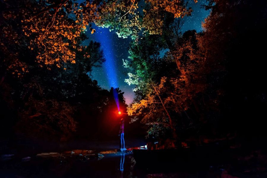 A series of illuminated trees at night create a mystical garden path with blue and orange lighting effects.