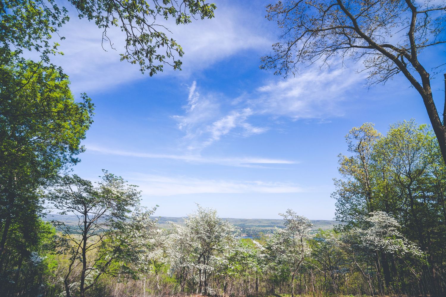 Panoramic hills video for High Point Landscaping - 4Adventure Media.