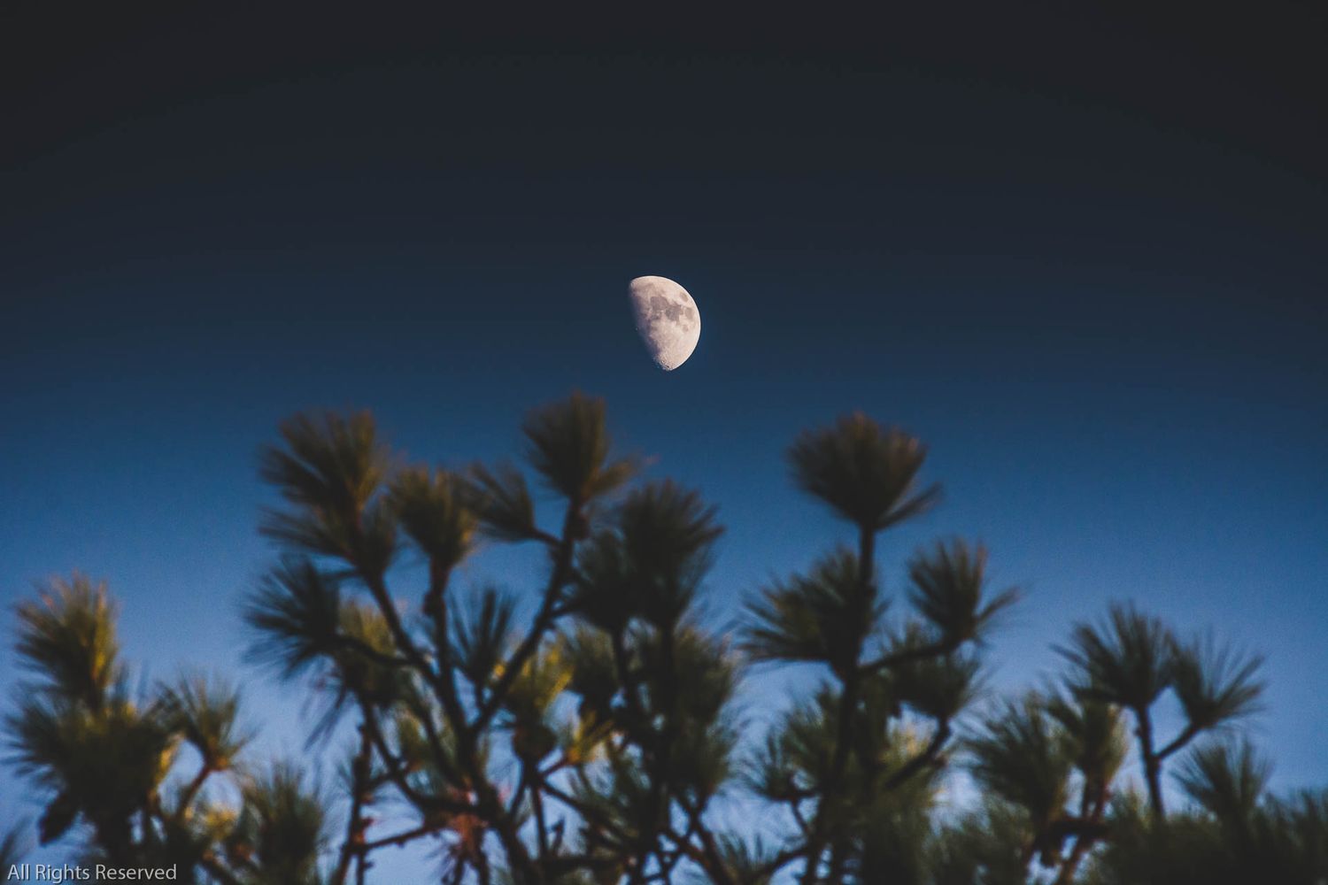 Night sky video for High Point Roofing companies - 4Adventure Media.