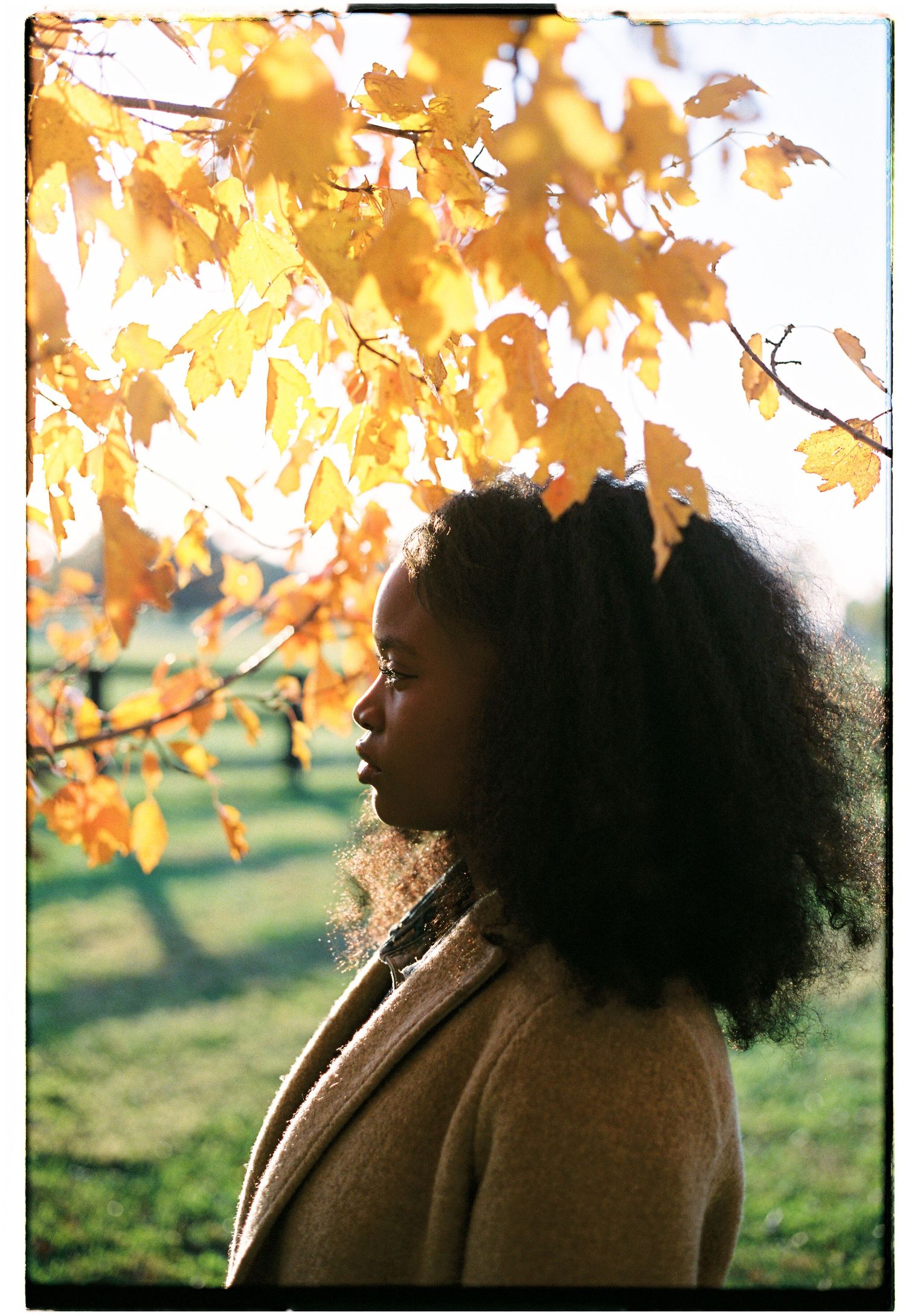 35mm film brand photography with warm tones