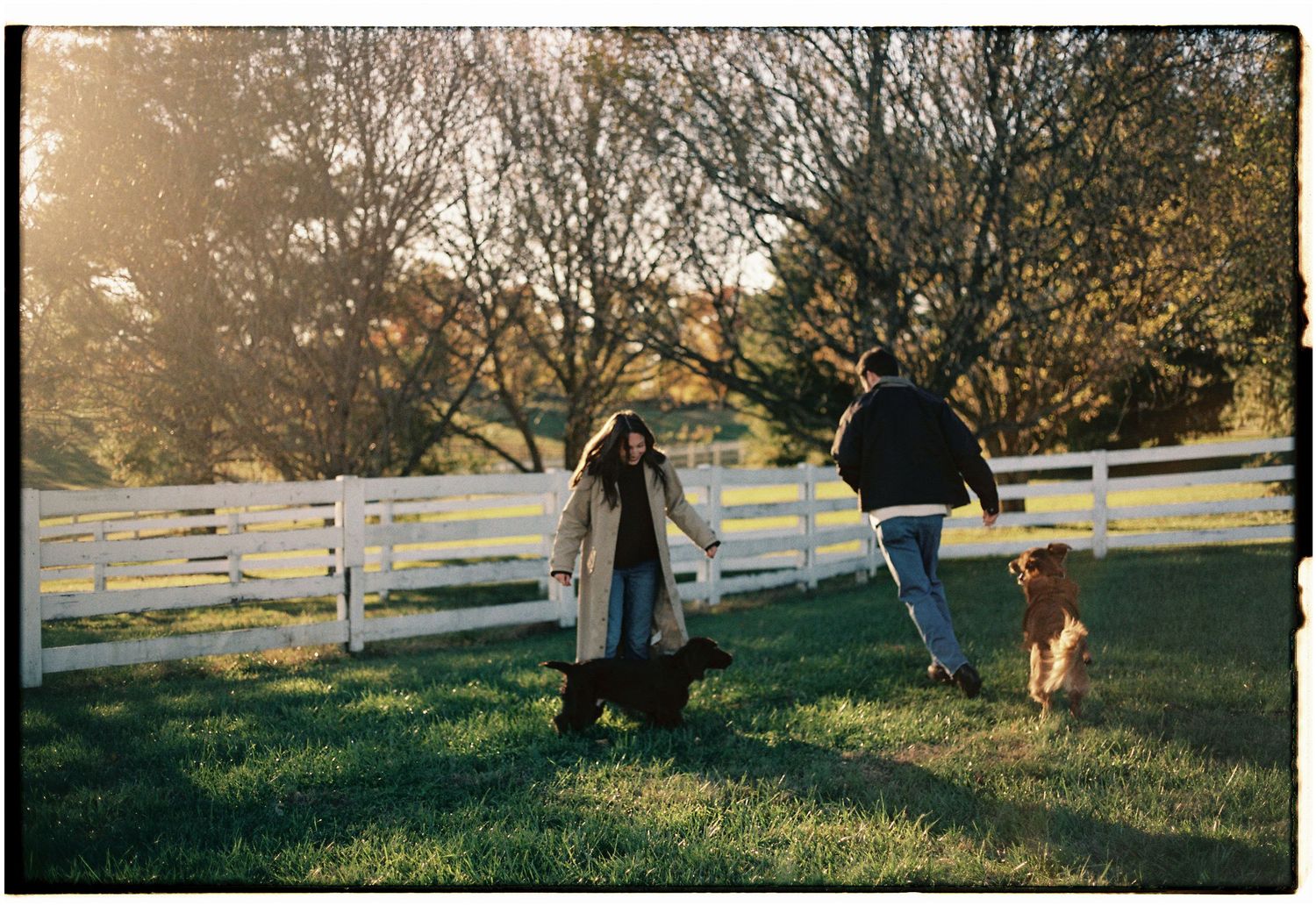 engagement couples photoshoot with dogs
