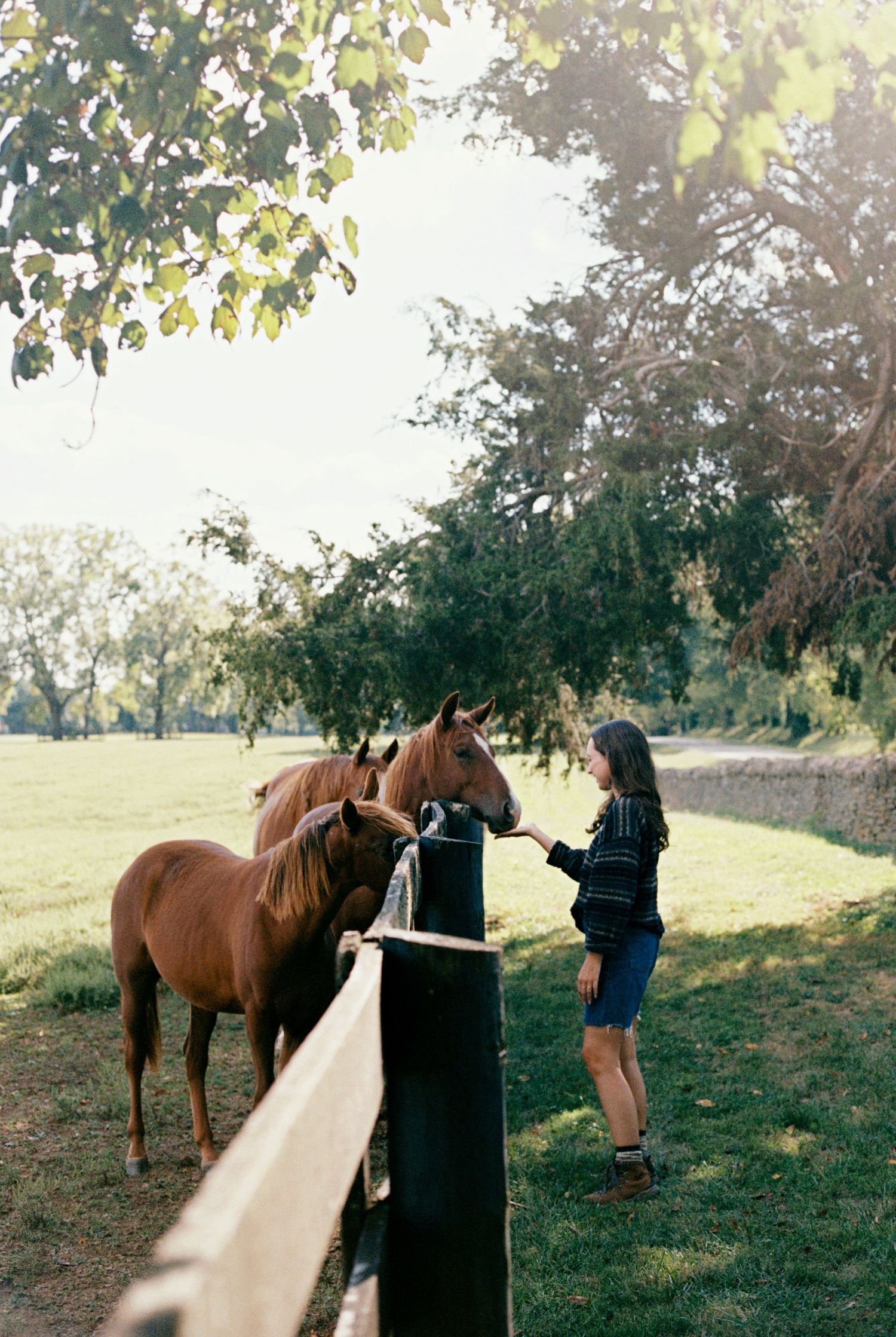 horse brand kentucky photoshoot editorial