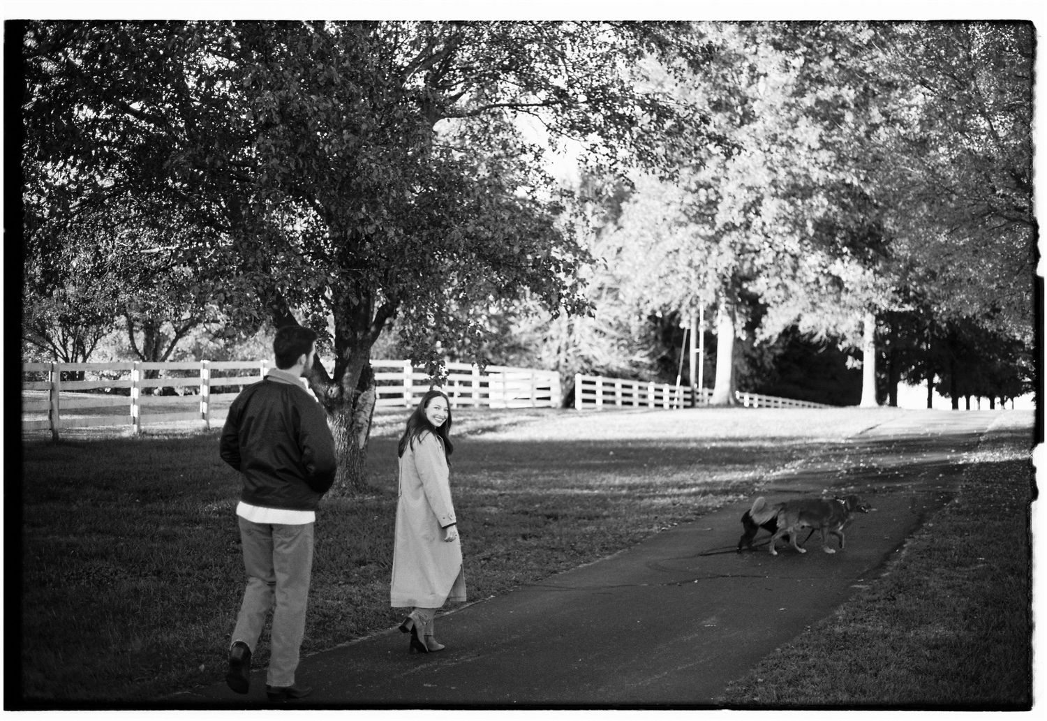 film photography black and white with dogs