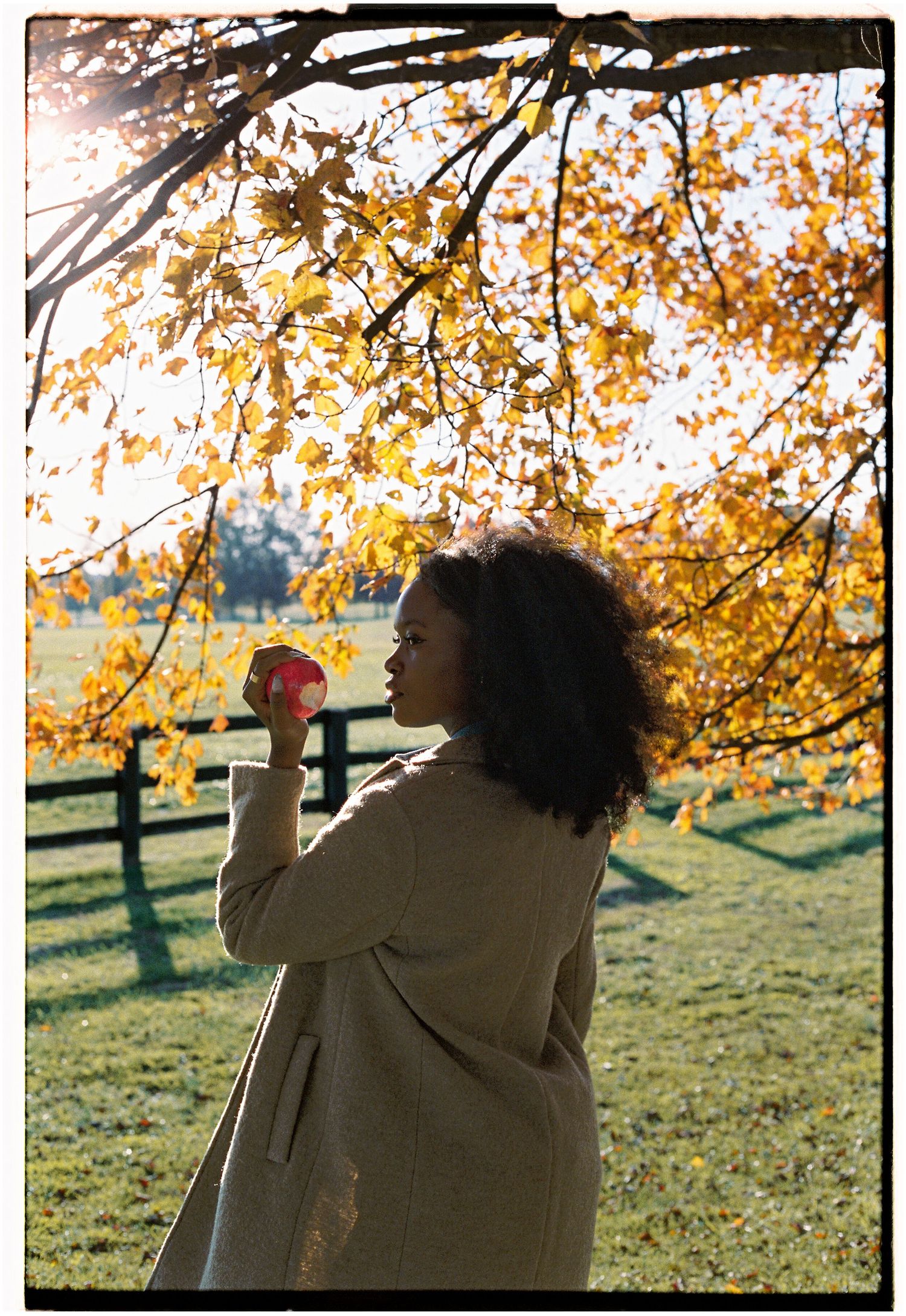 35mm film brand photography with warm tones