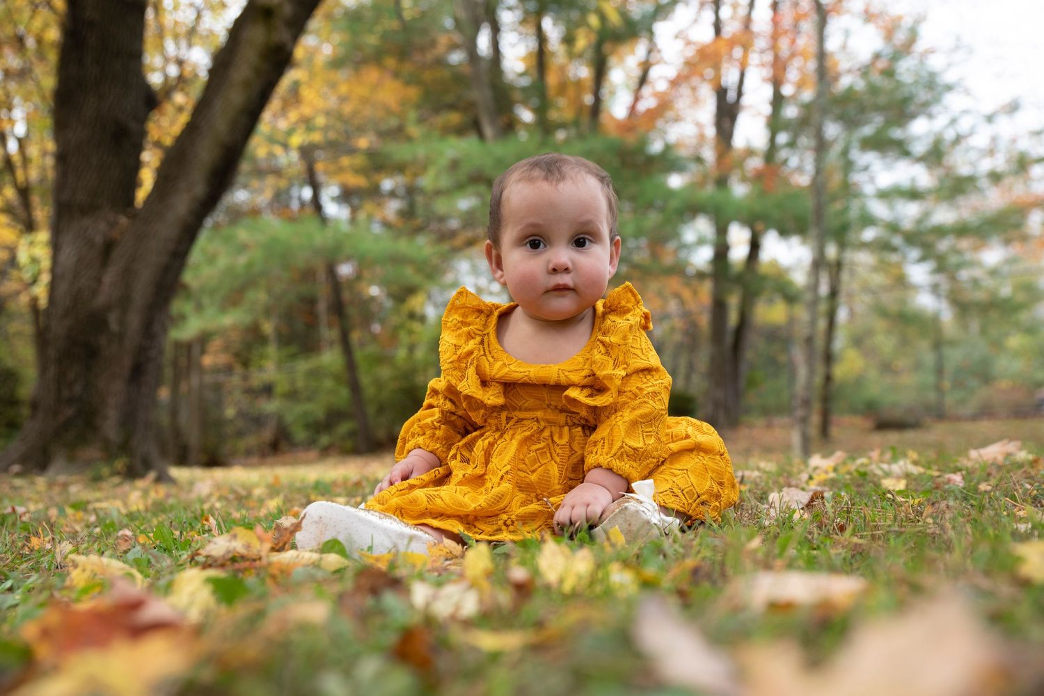 New Hampshire family photography session capturing genuine moments and connections.