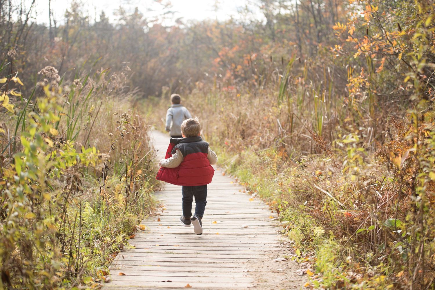 Candid family portraits in the White Mountains of New Hampshire with fall foliage in the background.