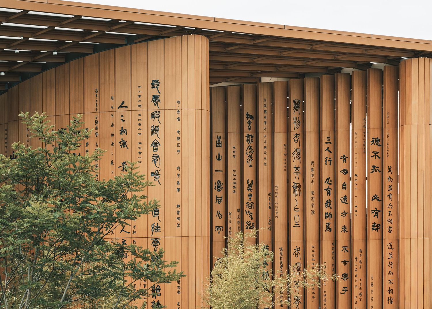 Modern wooden exterior featuring vertical slats and natural landscaping elements. Architecture Photography