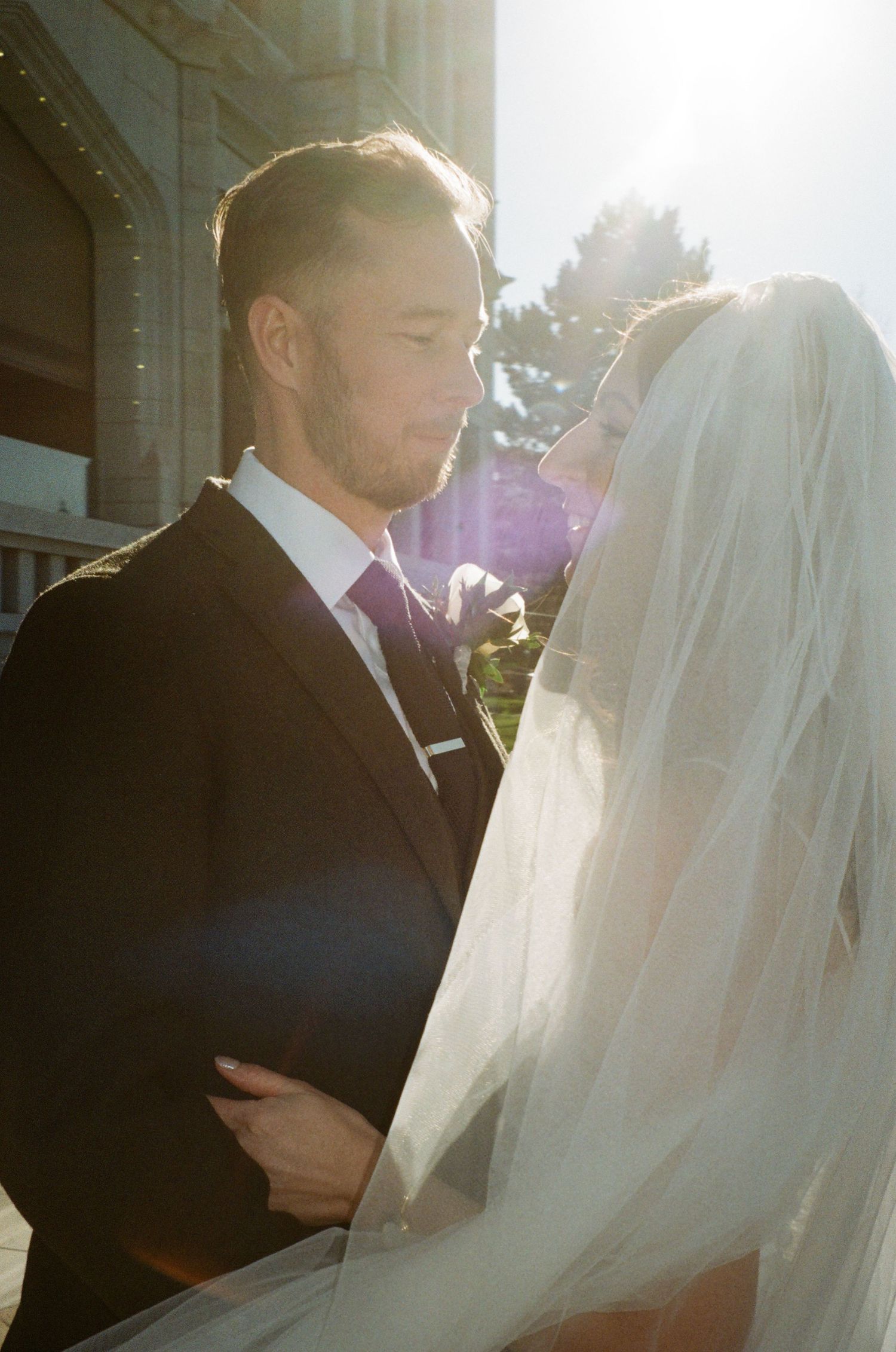 A tender wedding moment captured in golden sunlight with a flowing white veil.