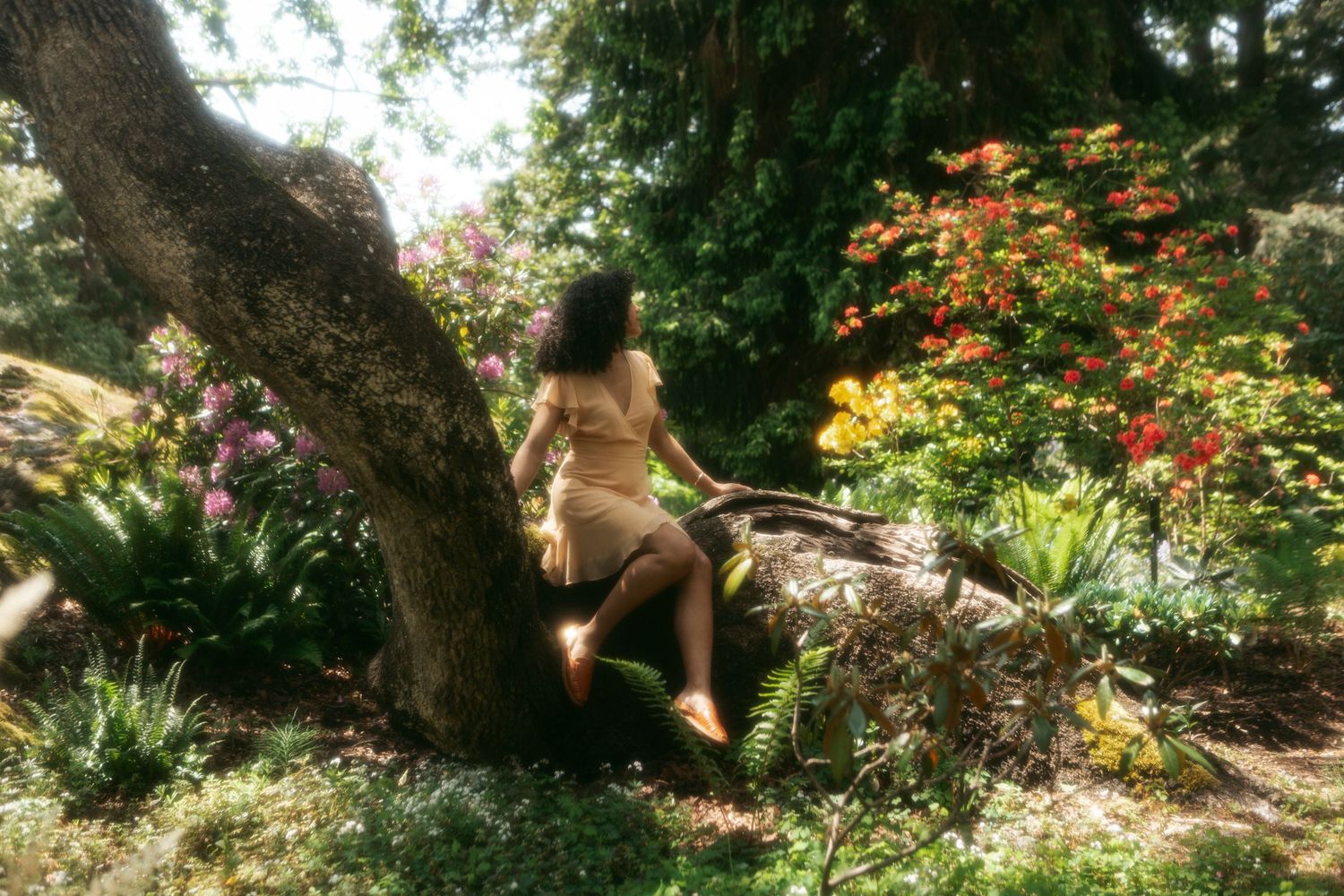 A curious squirrel perches on a tree trunk in a lush garden setting with colorful flowers and greenery.