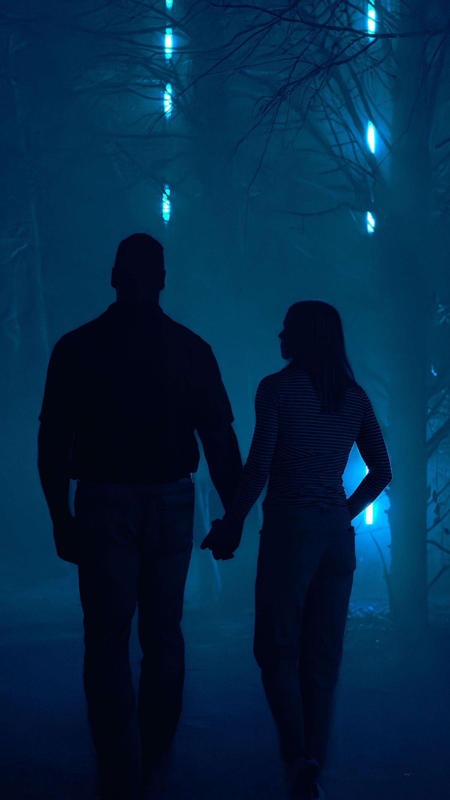 Silhouettes of a couple holding hands against a misty blue-lit forest background.