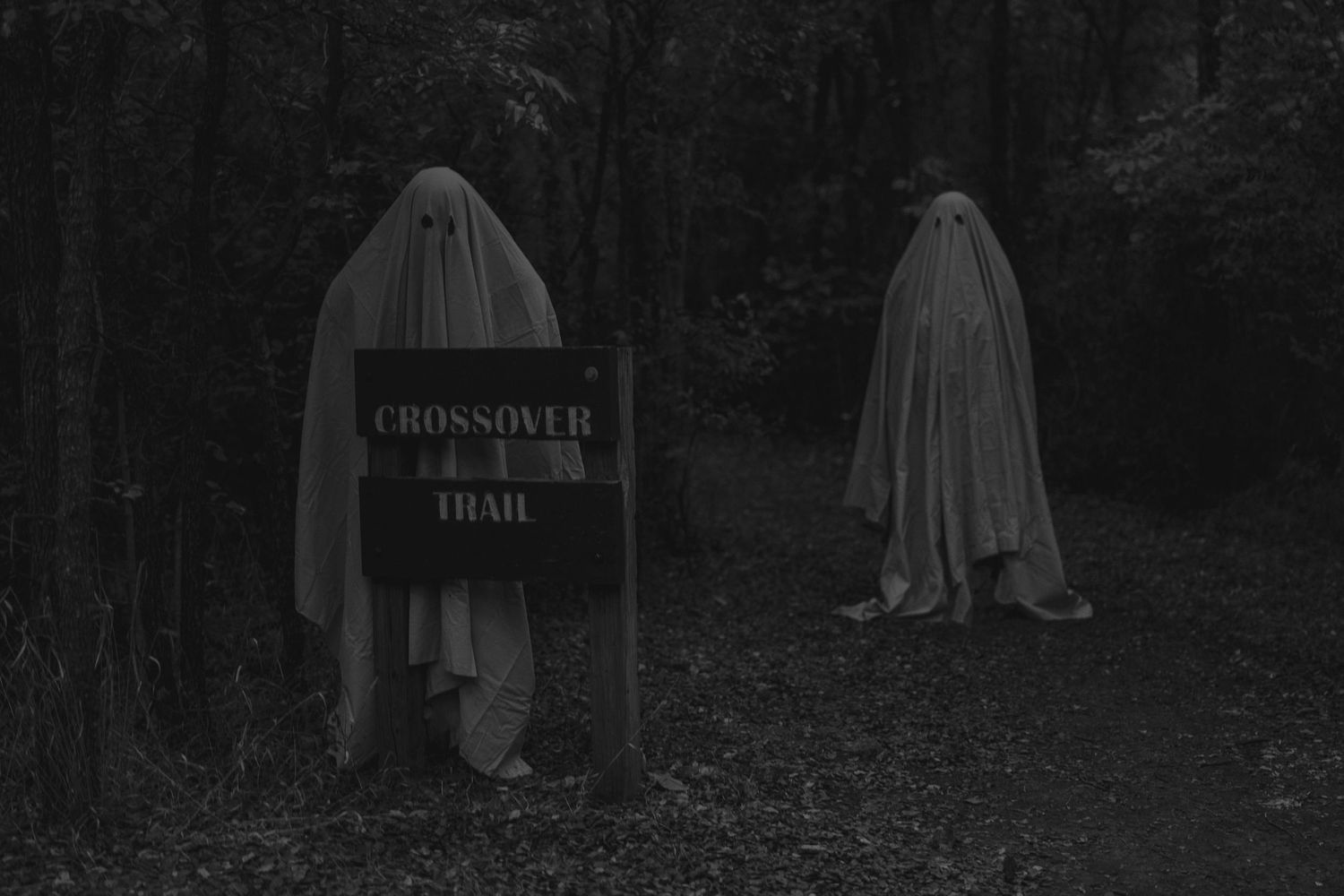 Spooky ghost figures stand near trail marker in foggy forest.