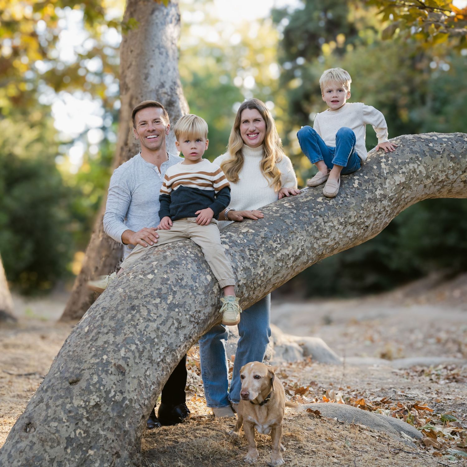 Family enjoying a warm autumn day together sitting on a large fallen tree branch in a natural outdoor setting.