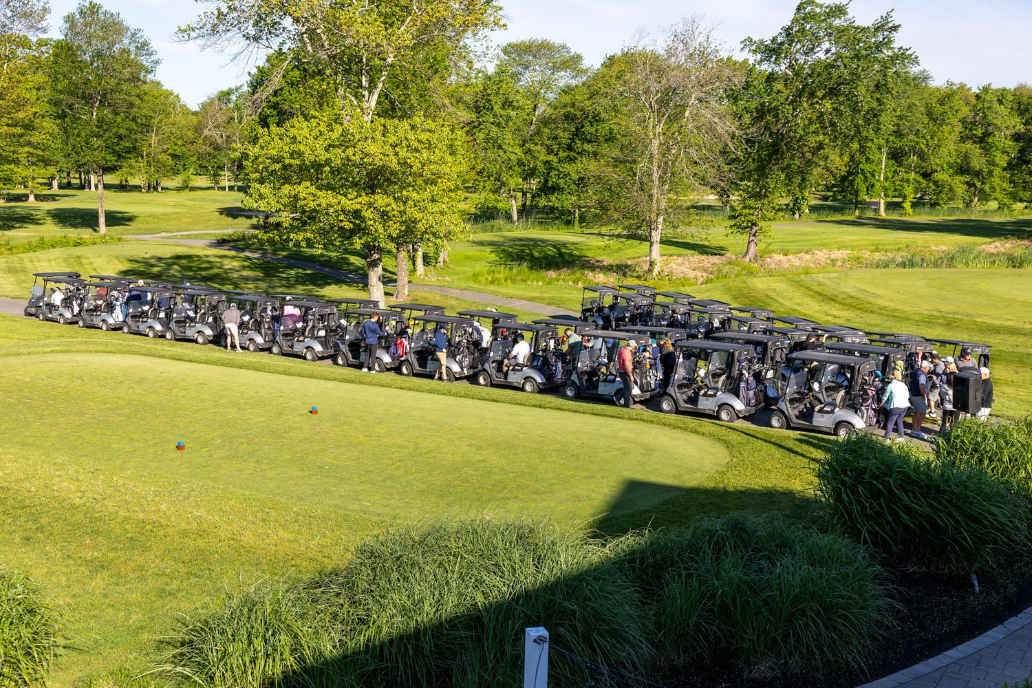 Rows of golf carts lined up on a lush green golf course surrounded by trees on a sunny day.