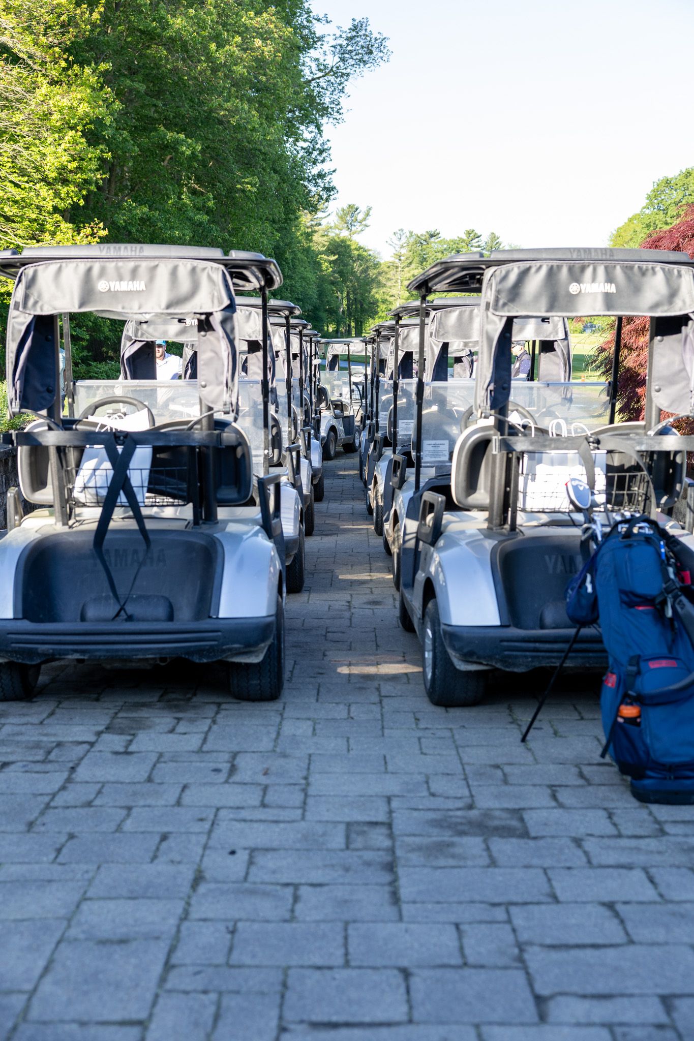 Rows of silver golf carts parked on a brick path surrounded by lush green trees at a golf course.