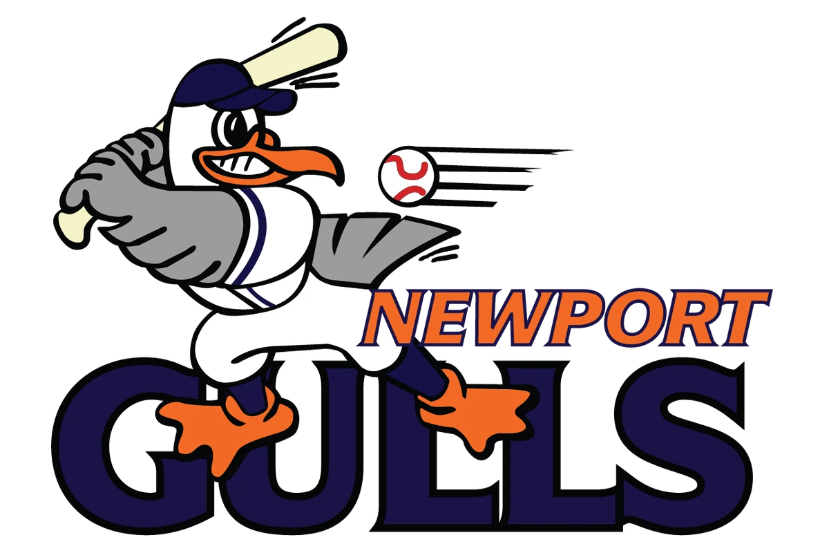 Newport Gulls baseball team logo featuring an animated seagull in uniform swinging a bat with bold navy and orange text.