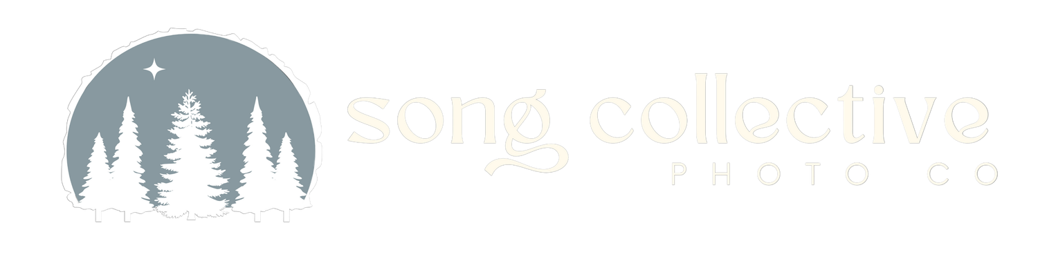 Song Collective Logo with trees and star