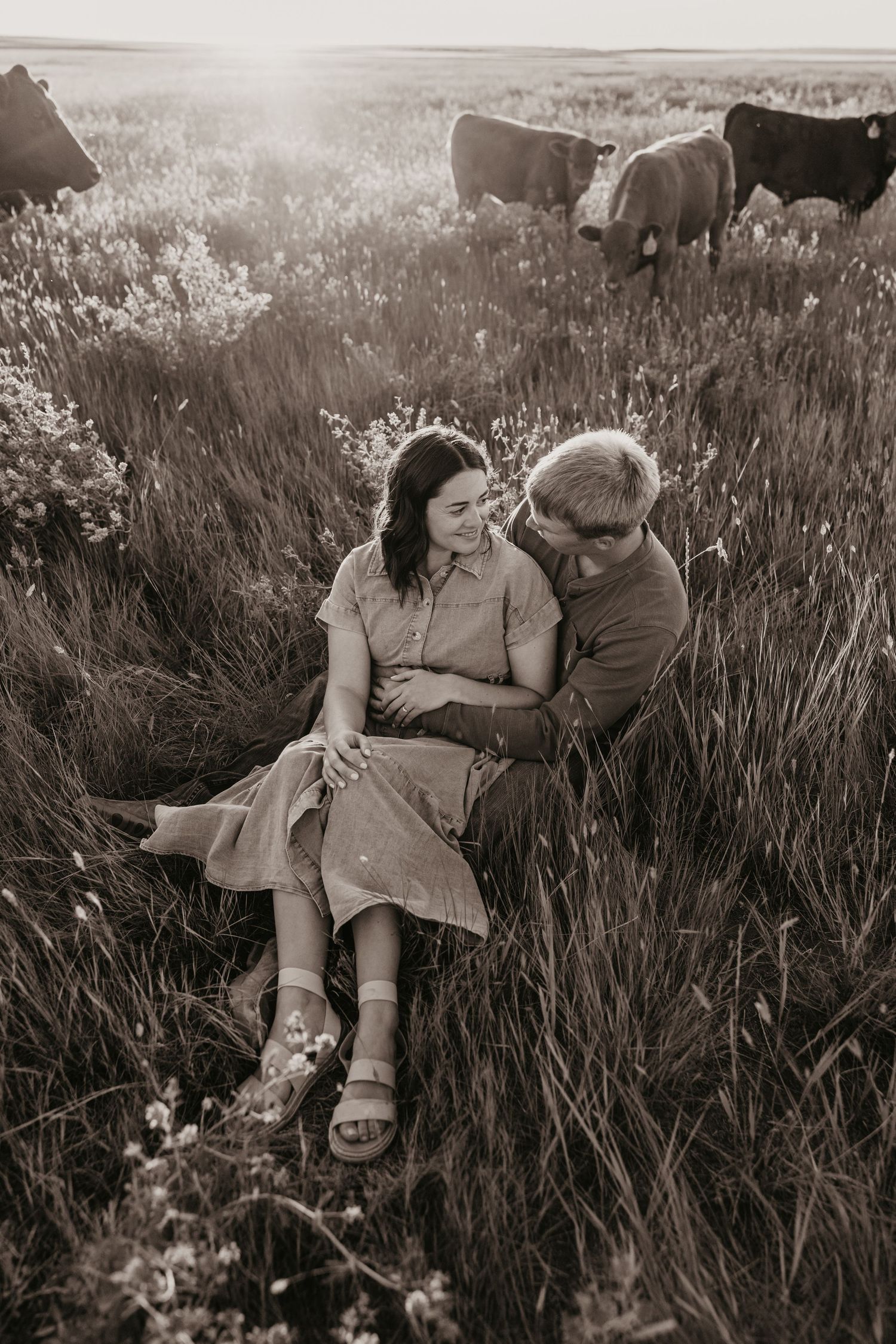 Livingston Wedding Photographer captures western couple engagement session with their cattle on their ranch.