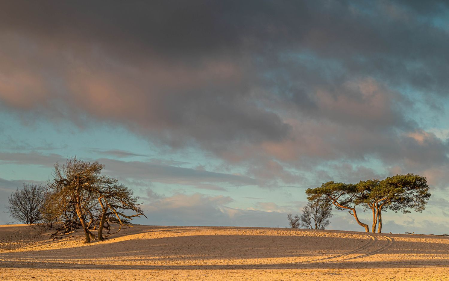 lndschpp