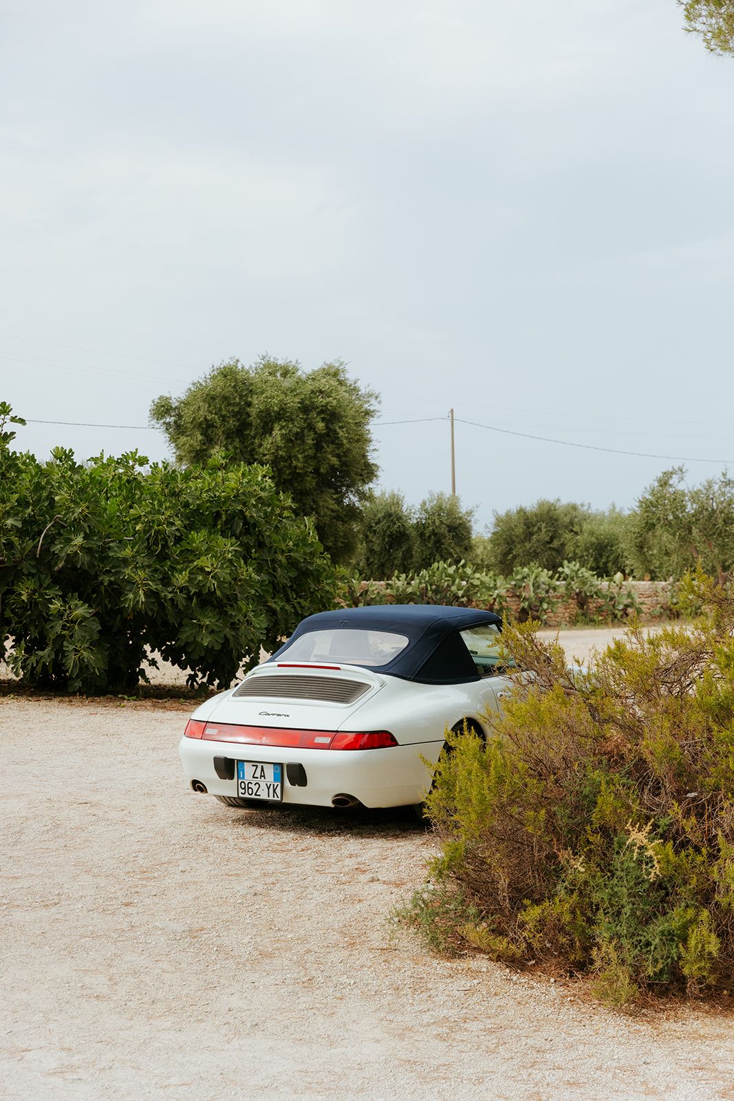 Silver Porsche 911 parked by coastal vegetation in sandy clearing with foliage surrounding the car.
