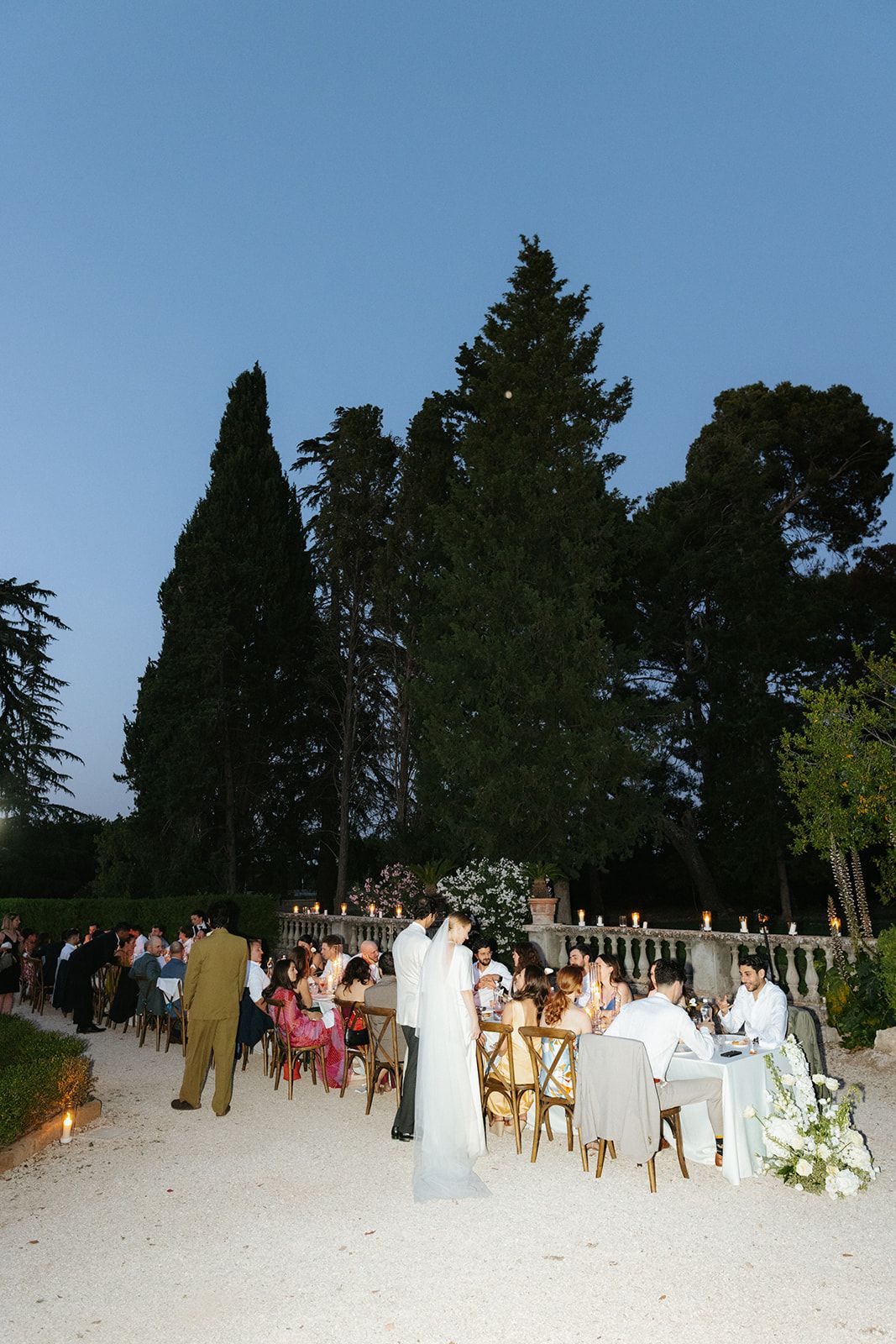 Outdoor evening wedding reception with guests seated under tall cypress trees against a twilight sky.