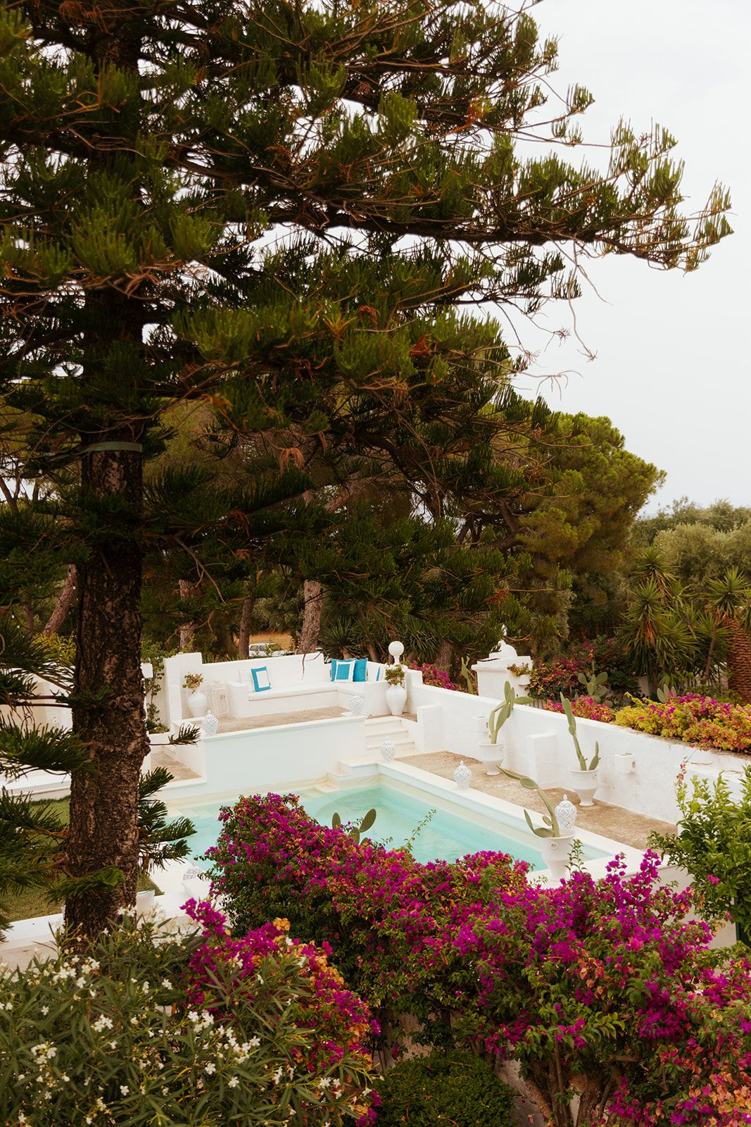Luxury swimming pool surrounded by vibrant pink bougainvillea flowers and pine trees at a Mediterranean villa retreat.