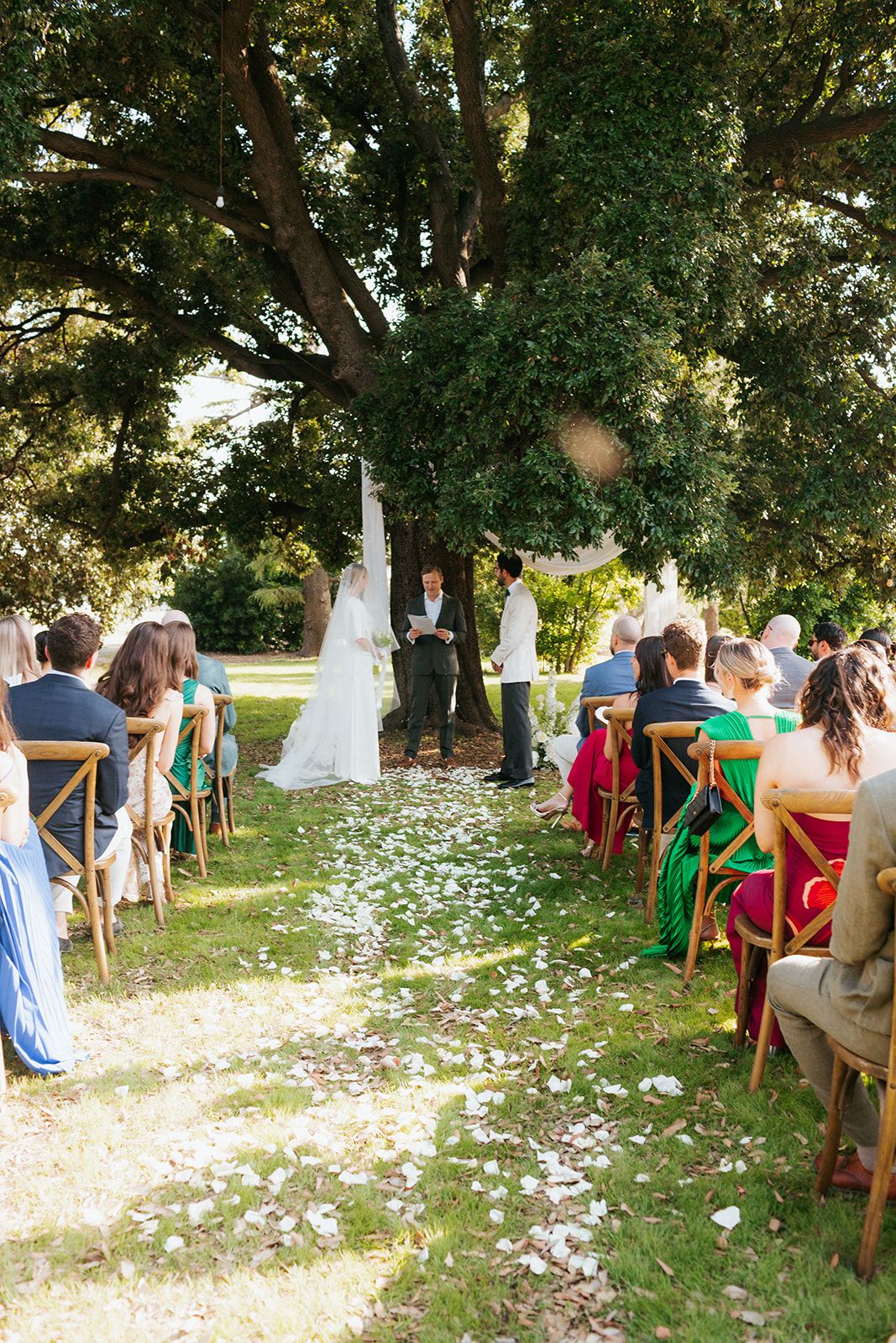 Outdoor wedding ceremony under a large tree with white flower petals scattered along the aisle and wooden chairs for guests.