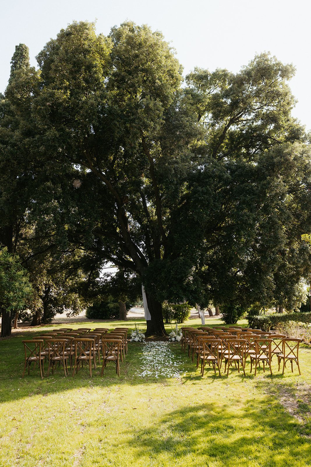 Wooden chairs arranged on a sunlit lawn for an outdoor ceremony underneath large shady oak trees.