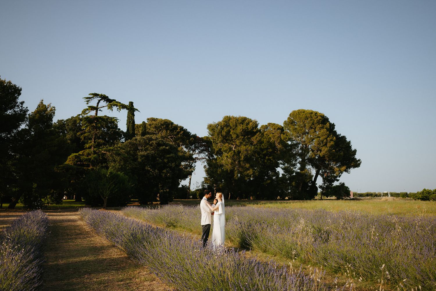 A couple stands in a romantic lavender field during sunset with tall trees and a winding path in the countryside.