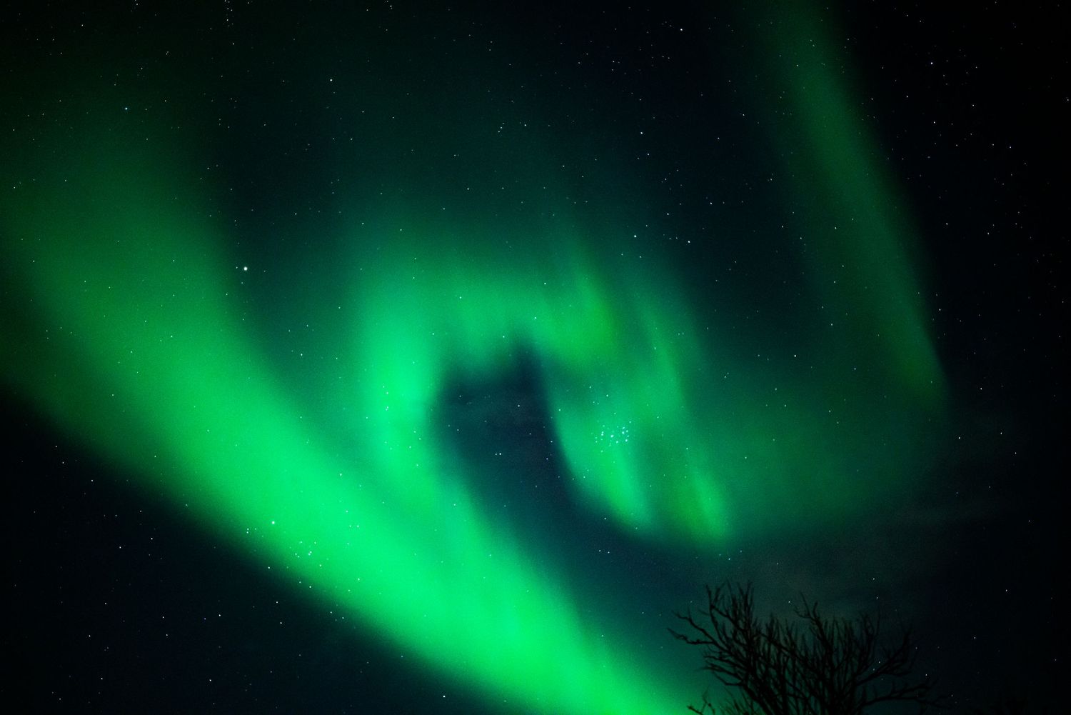 Vibrant green aurora borealis lights dance across the dark night sky in a stunning natural display. Norway.
