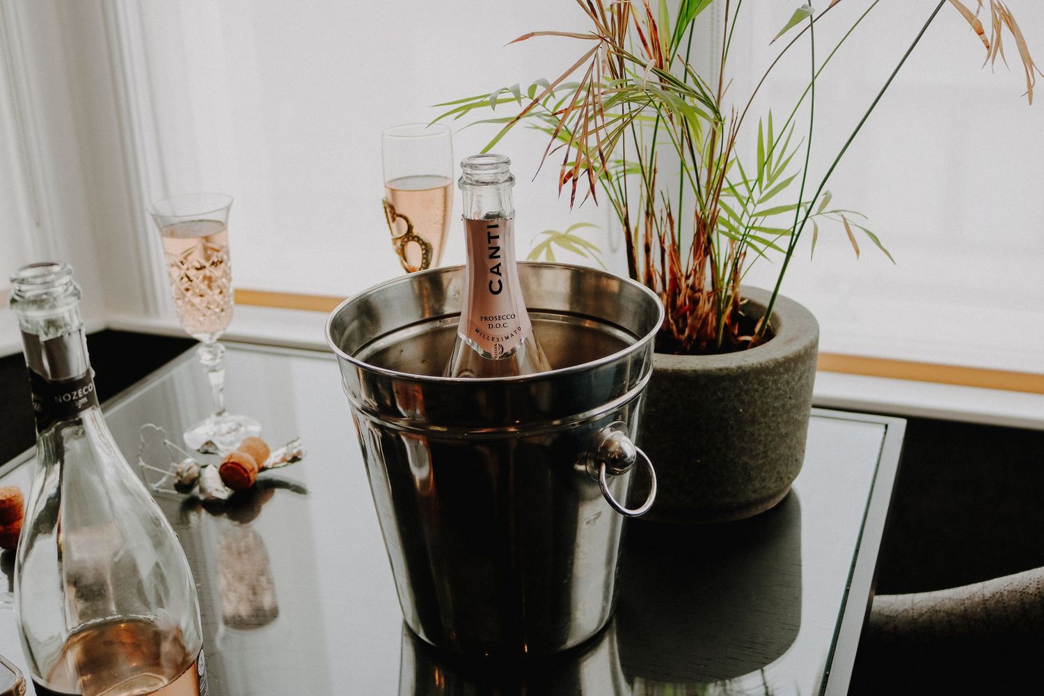 Champagne chilling in an ice bucket with glasses and a potted plant on a dark surface.