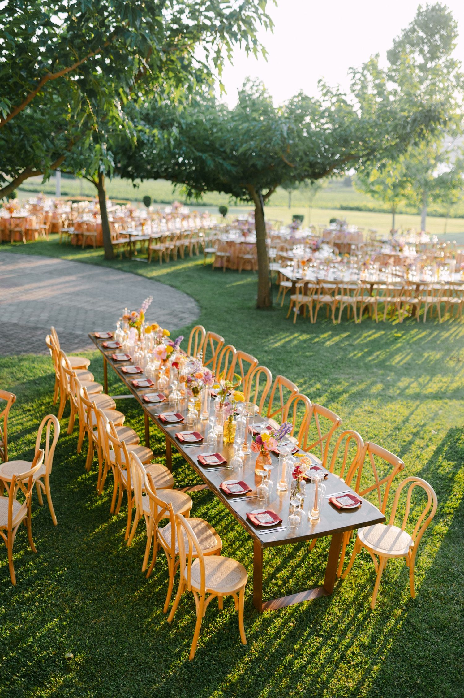Long wooden dining tables set up outdoors for an elegant garden wedding reception with golden chairs in vineyard Kamkoutis Velventos
