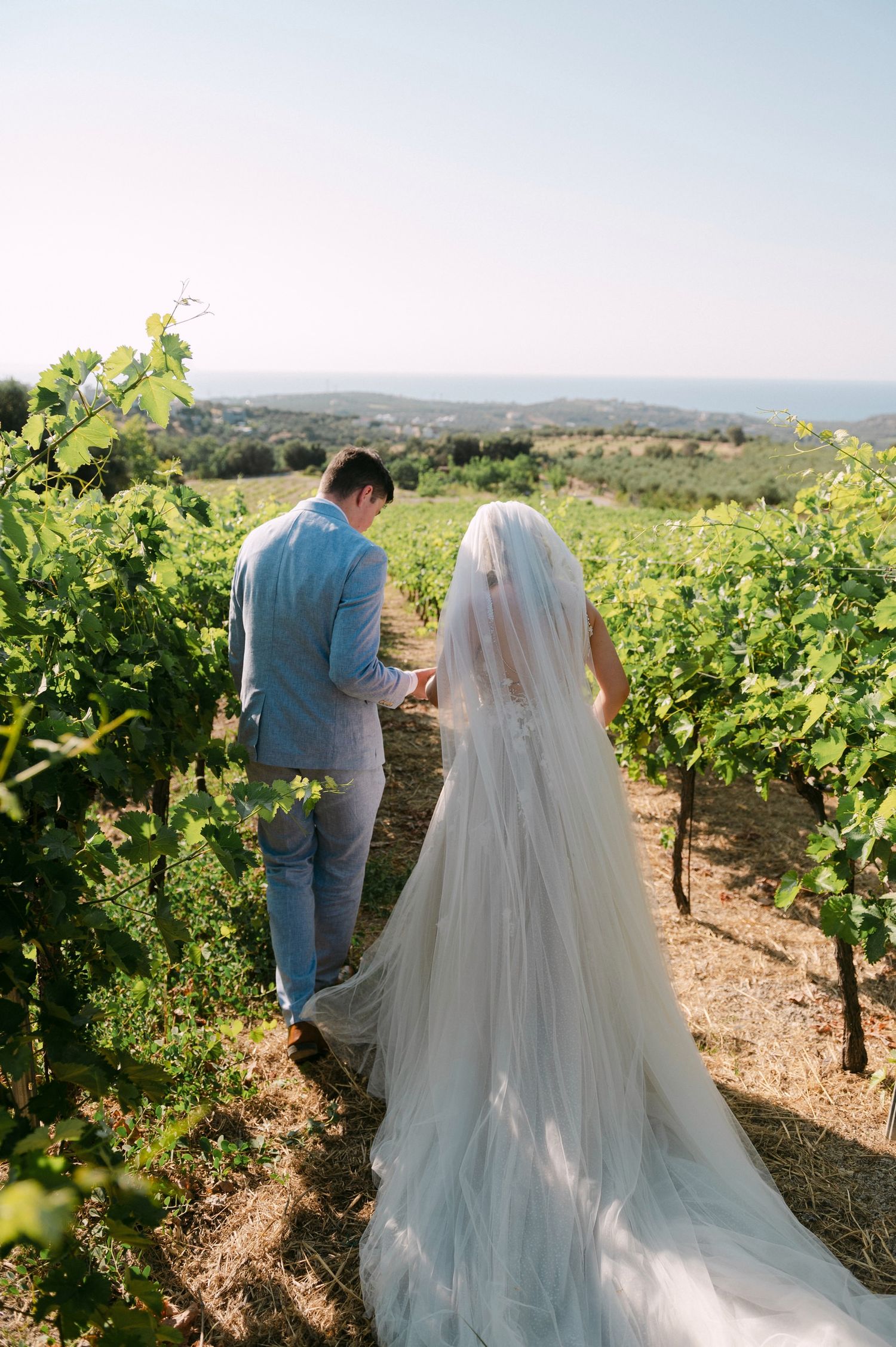 A scenic wedding photograph at a hilltop vineyard with flowing white veil and blue suit against rolling hills.
