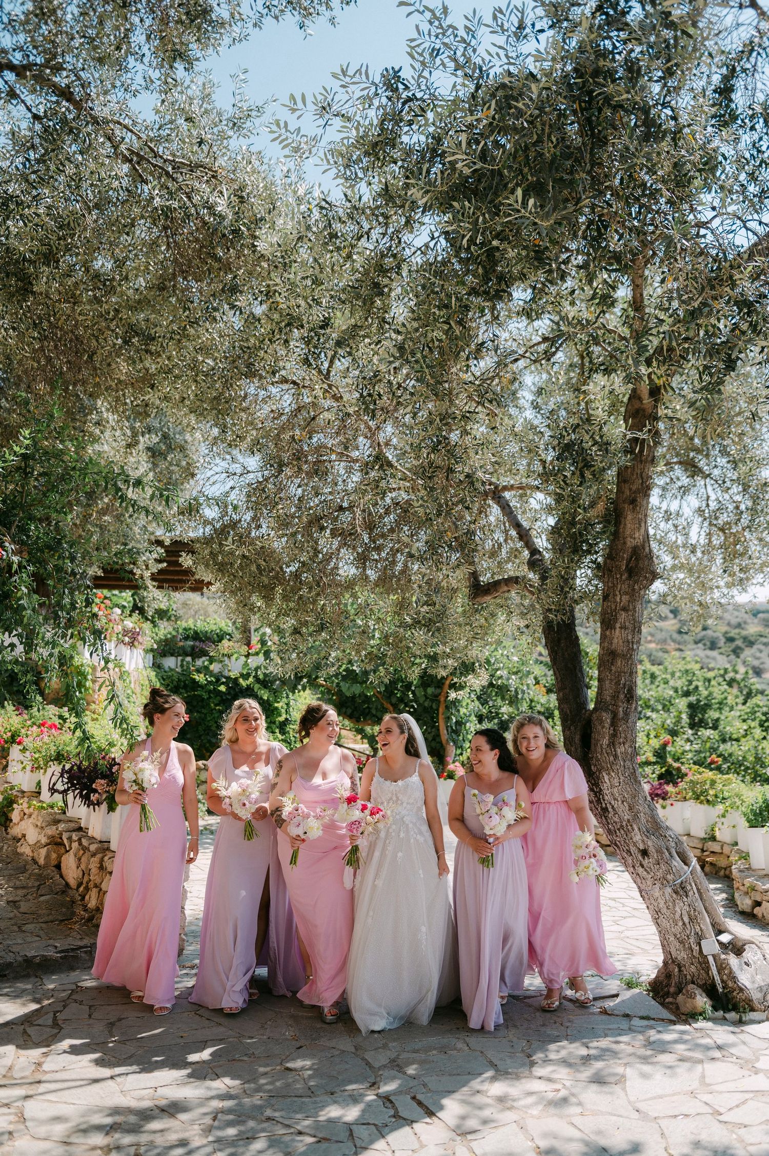Bridal party wearing pink bridesmaid dresses and white gown pose together under olive trees in Mediterranean setting.