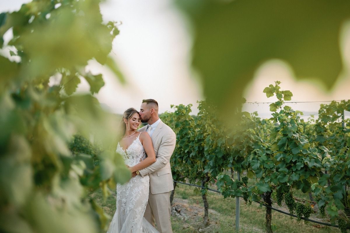 A romantic moment captured through grape vines in a scenic vineyard setting.