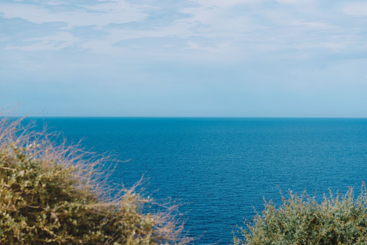 Serene Mediterranean seascape with deep blue waters and coastal vegetation in foreground.