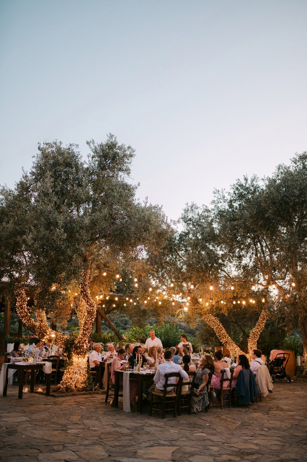 String lights illuminate an outdoor evening wedding reception under olive trees with guests dining at long tables.