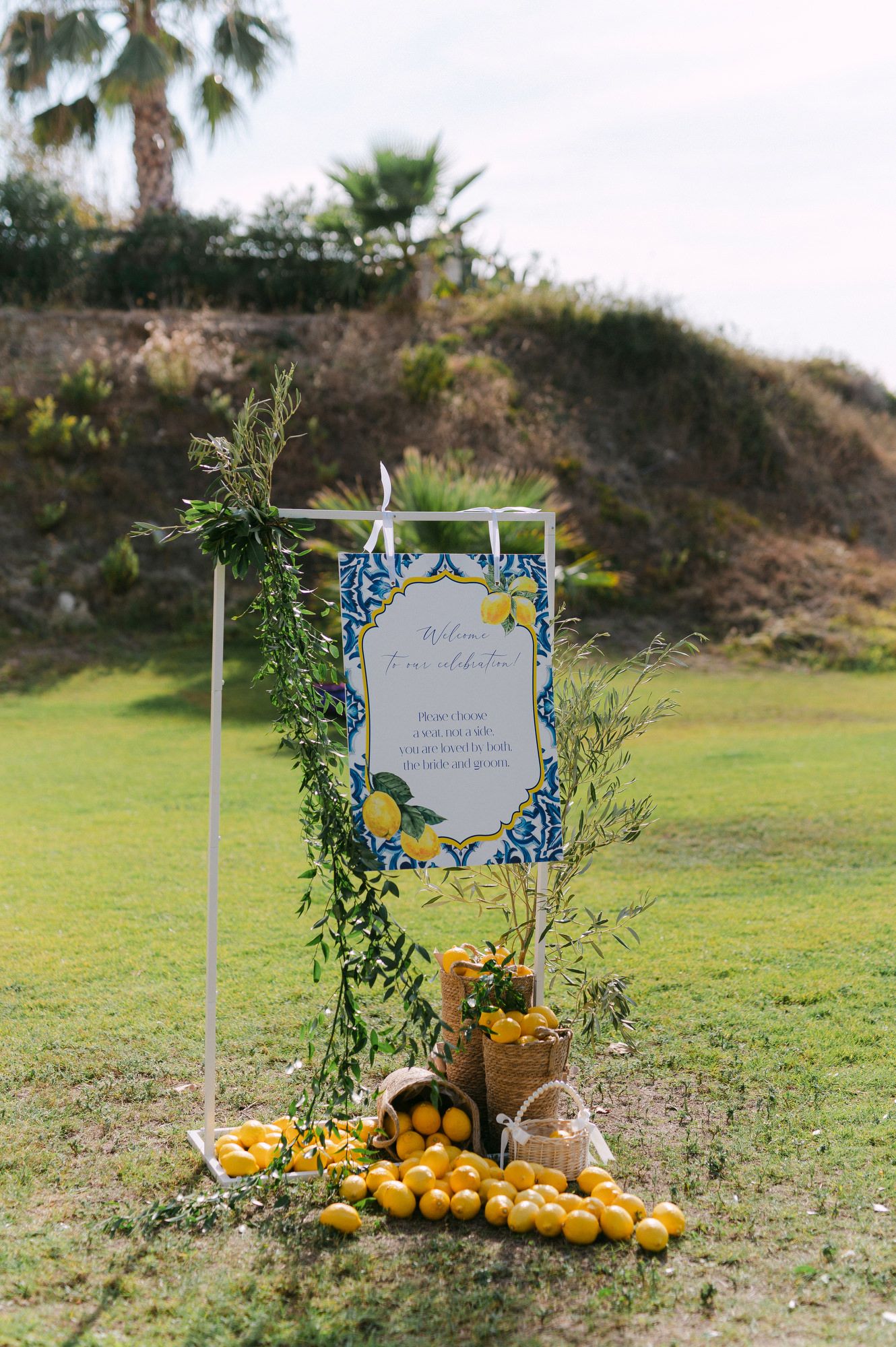 A series of outdoor wedding signs decorated with greenery and surrounded by fresh oranges and lemons on grassy ground.