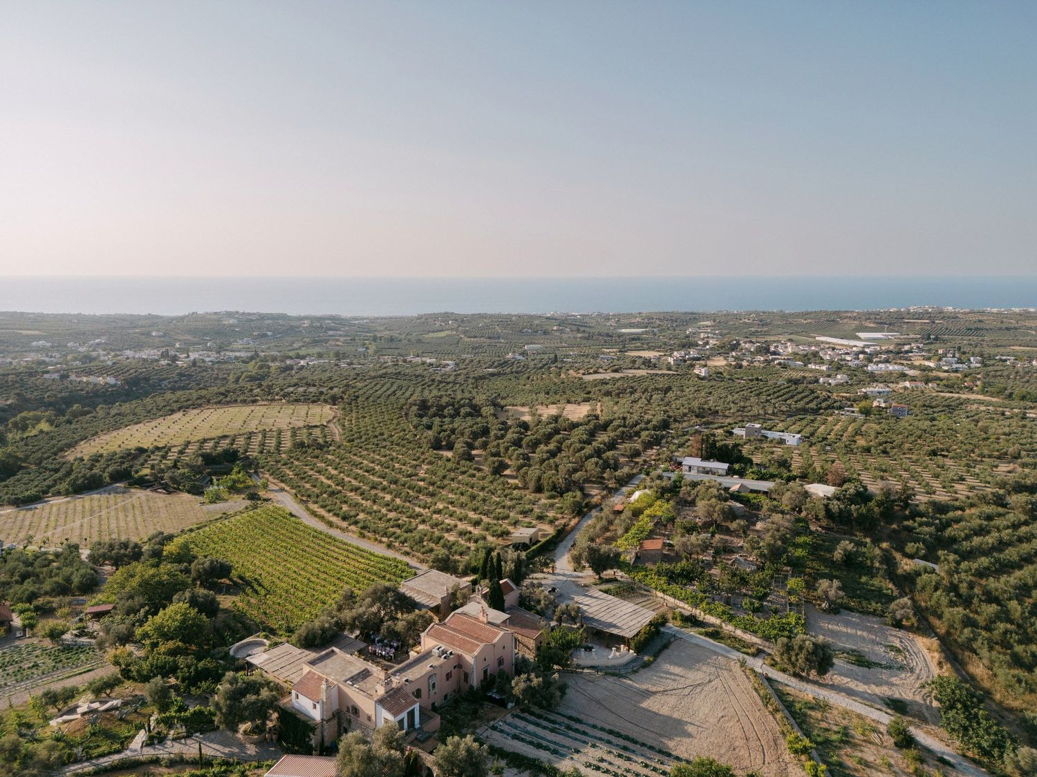Scenic aerial panorama of a rural Mediterranean landscape with rolling hills covered in olive groves stretching to the horizon.
